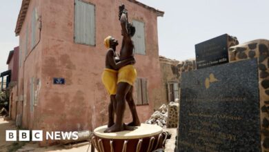 Genetic impact of African slave trade revealed in DNA study