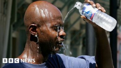 Study shows impact of ‘climate racism’ in US