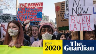 ‘It was empowering’: teen BLM activists on learning the ropes at school climate strikes | Black Lives Matter movement