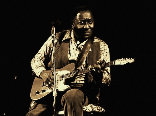 Muddy Waters
