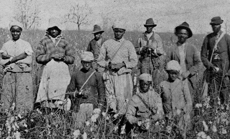 How the Black Codes Limited African American Progress After the Civil War How the Black Codes Limited African American Progress After the Civil War