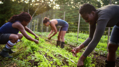 Black Farmers Are Sowing The Seeds Of Health And Empowerment : The Salt : NPR