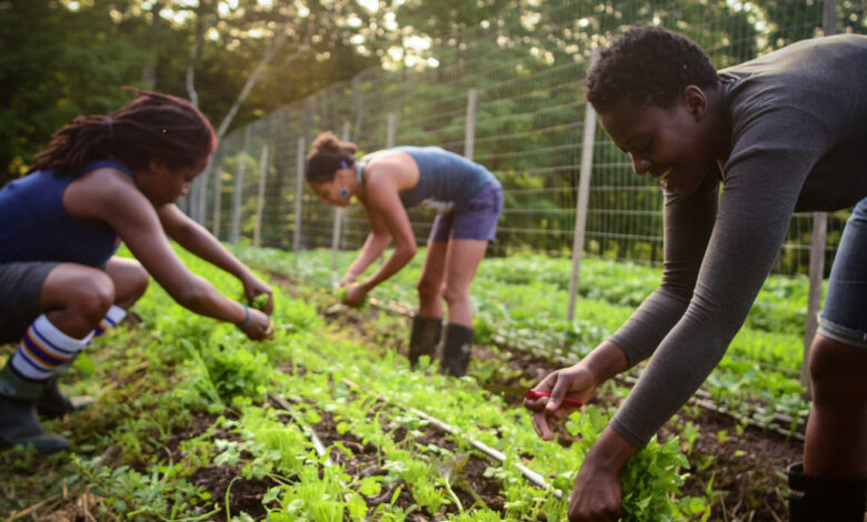 Black Farmers Are Sowing The Seeds Of Health And Empowerment : The Salt : NPR Black Farmers Are Sowing The Seeds Of Health And Empowerment : The Salt : NPR