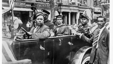 Black History Timeline: 1920–1929