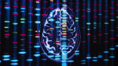 African ancestry genes linked to higher risk for Alzheimer’s, stroke : Shots