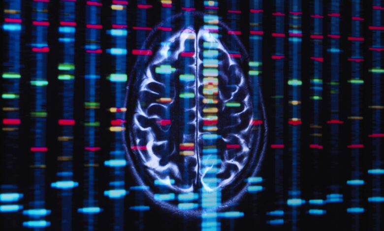 African ancestry genes linked to higher risk for Alzheimer’s, stroke : Shots African ancestry genes linked to higher risk for Alzheimer’s, stroke : Shots