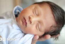 ‘Jaw-dropping’ global crash in children being born